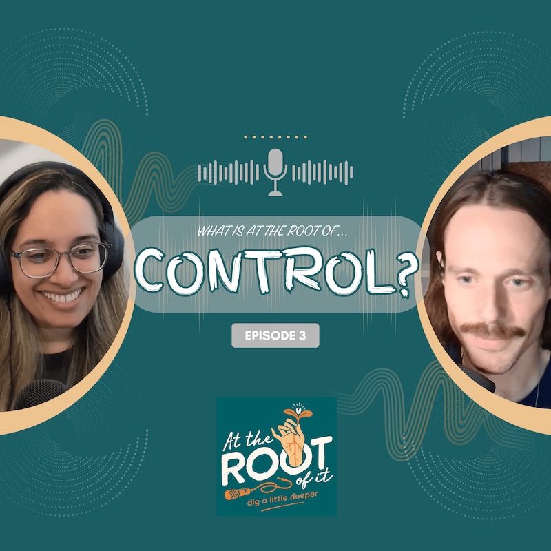 Artwork for podcast At The Root Of It