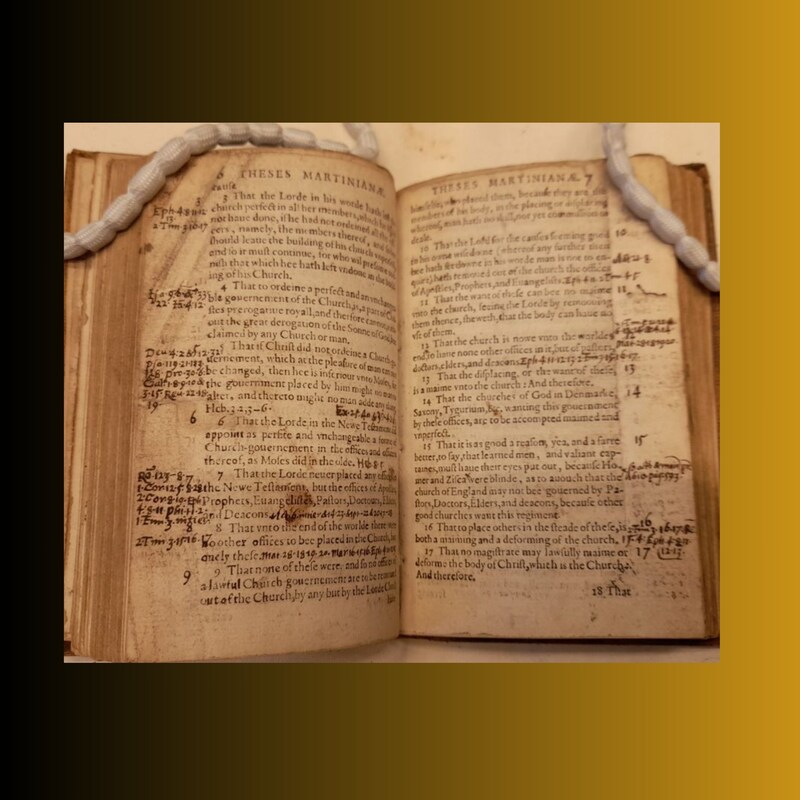 Artwork for podcast The Rise of the Protestants