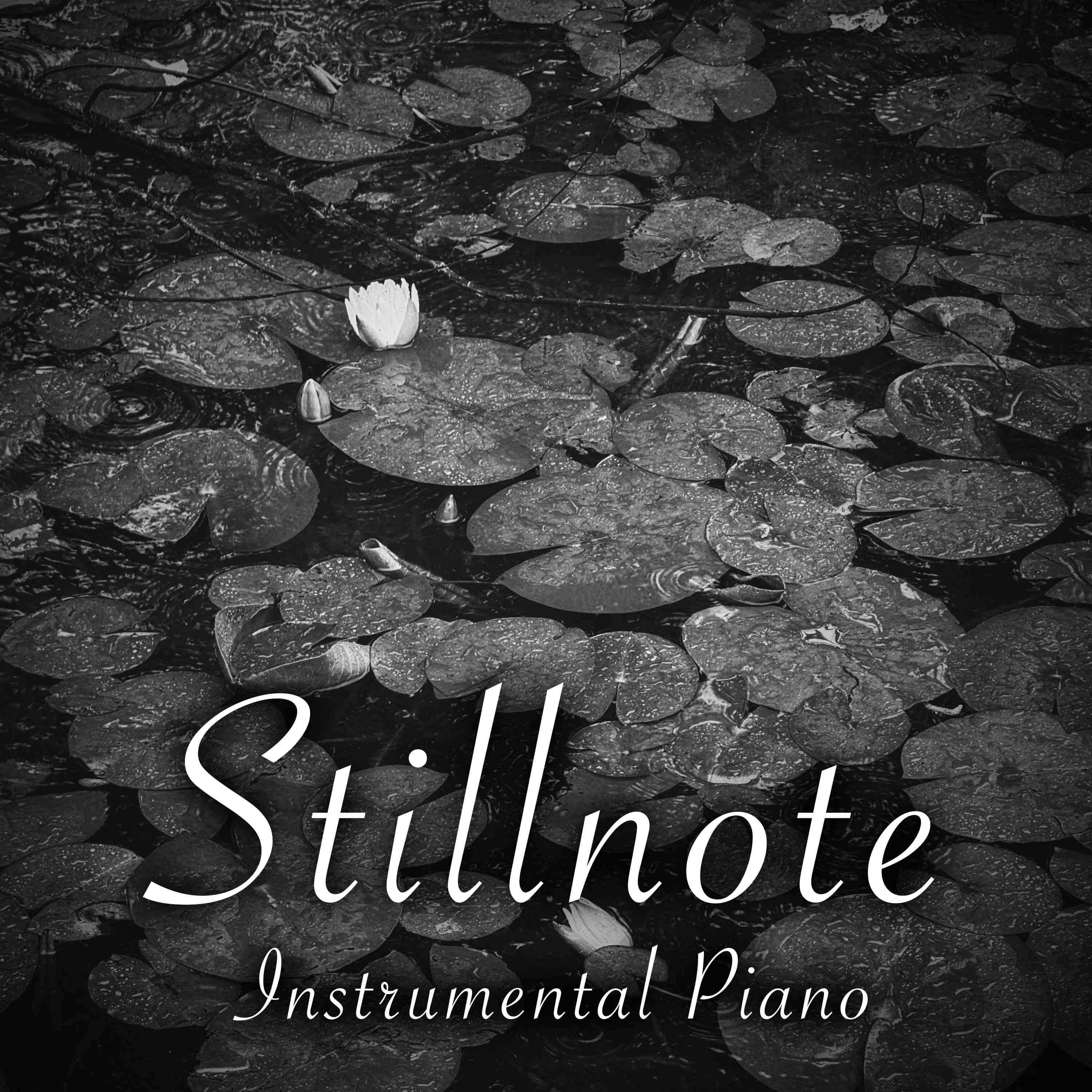 ADHD Instrumental Piano with Gray Treefrogs - 4 Hours - "Under the Stars" episode artwork