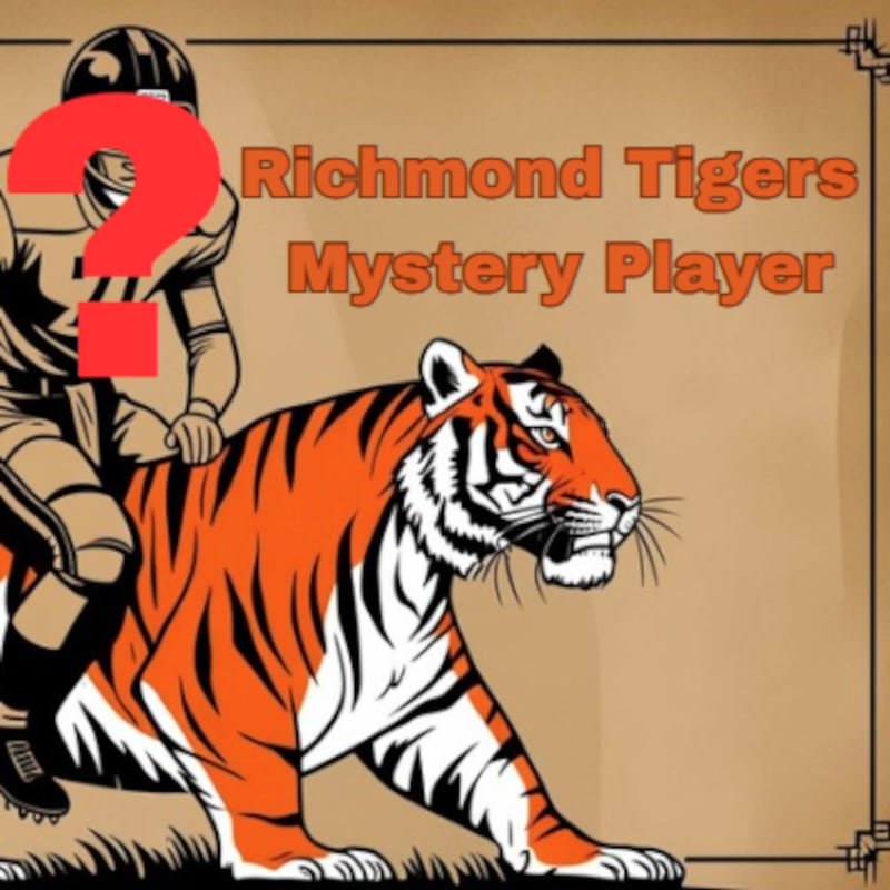 Artwork for podcast Pigskin Dispatch