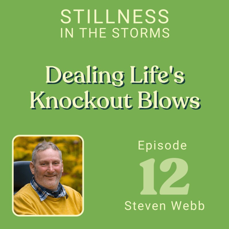 Artwork for podcast Stillness in the Storms