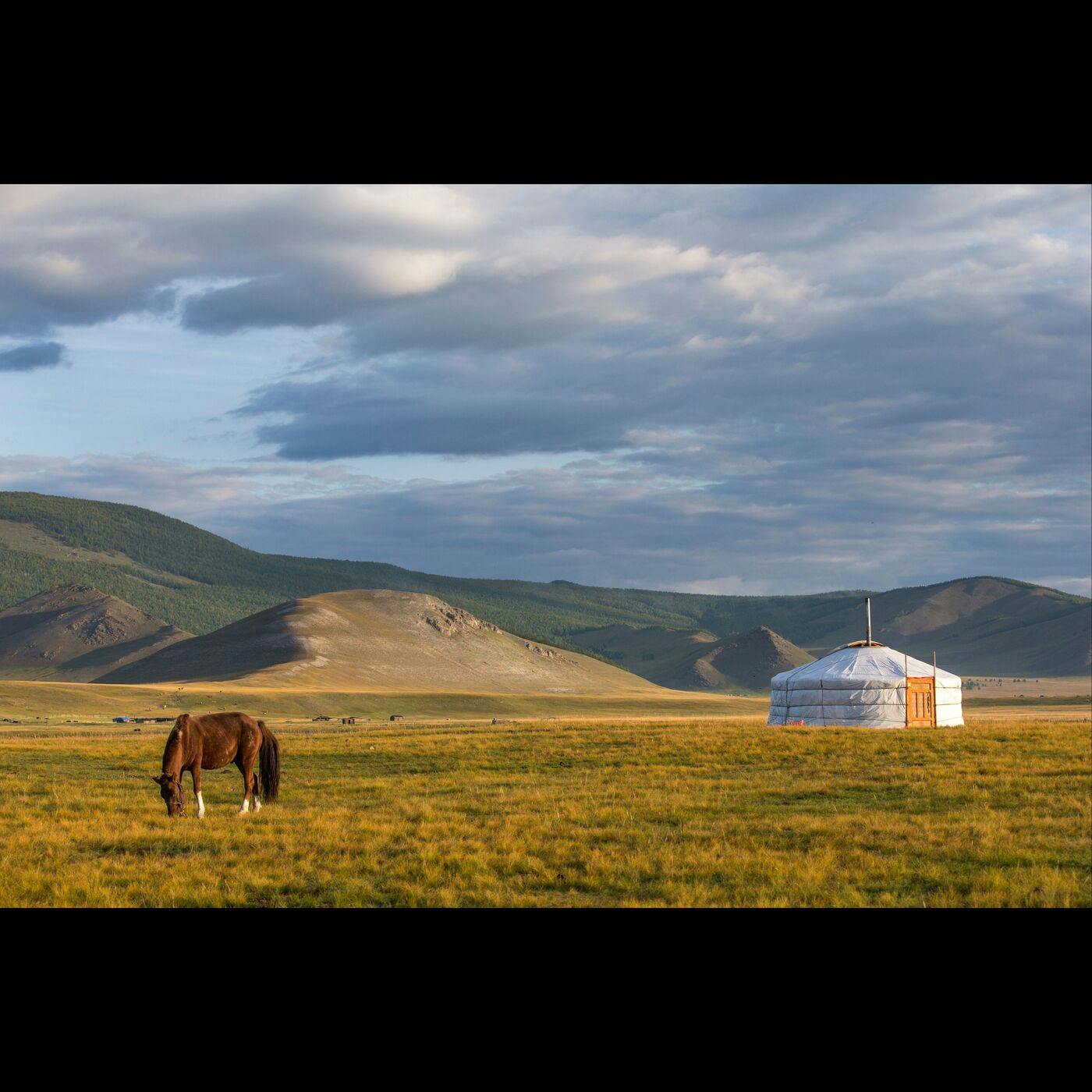 Horse Trekking in Mongolia with Pro Surfer Jon Rose