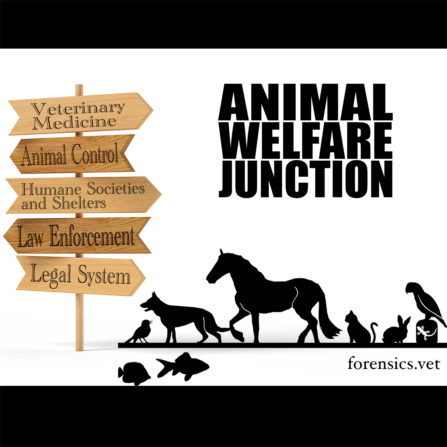 Show artwork for The Animal Welfare Junction
