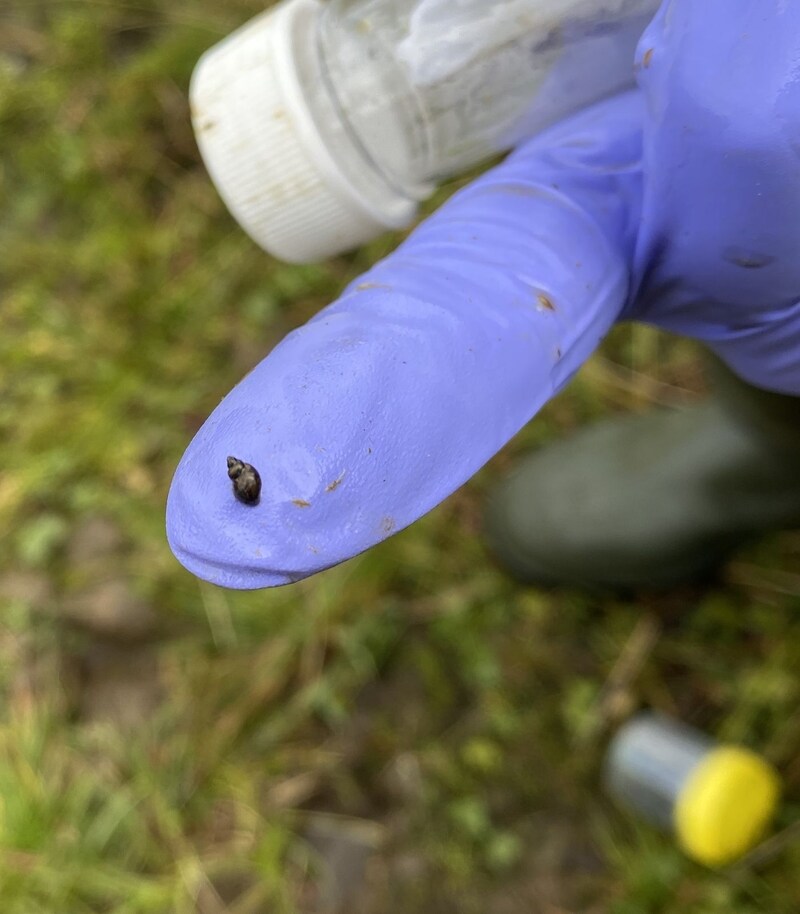 Artwork for podcast AHDB Food & Farming