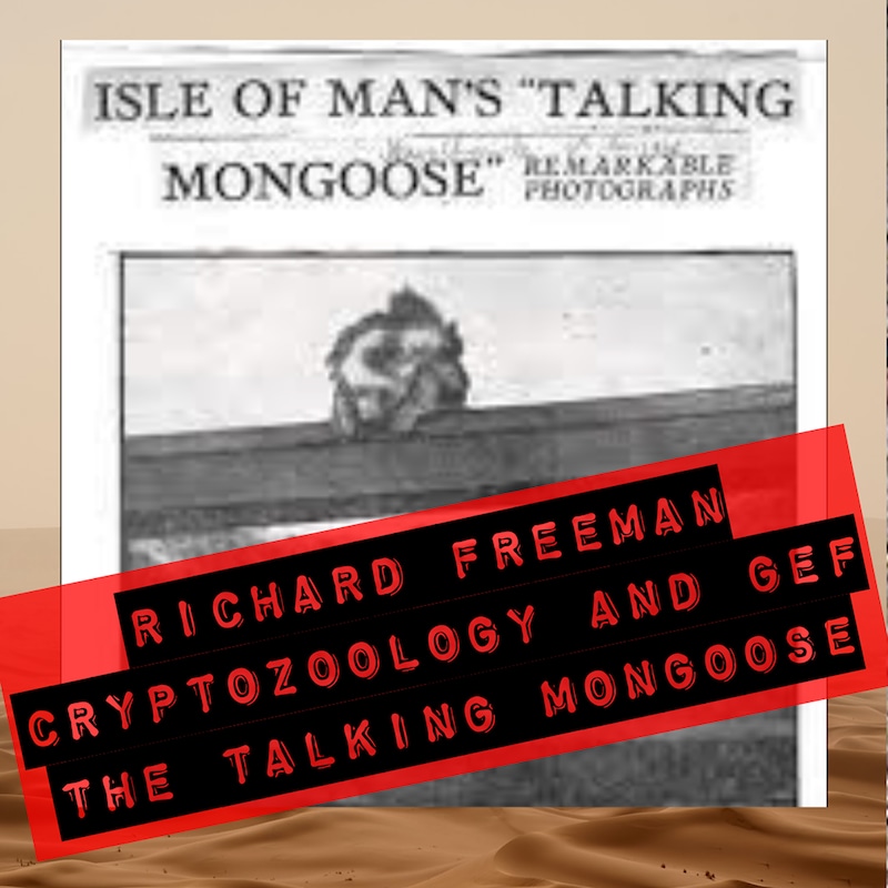 Artwork for podcast Pursuit of the Paranormal