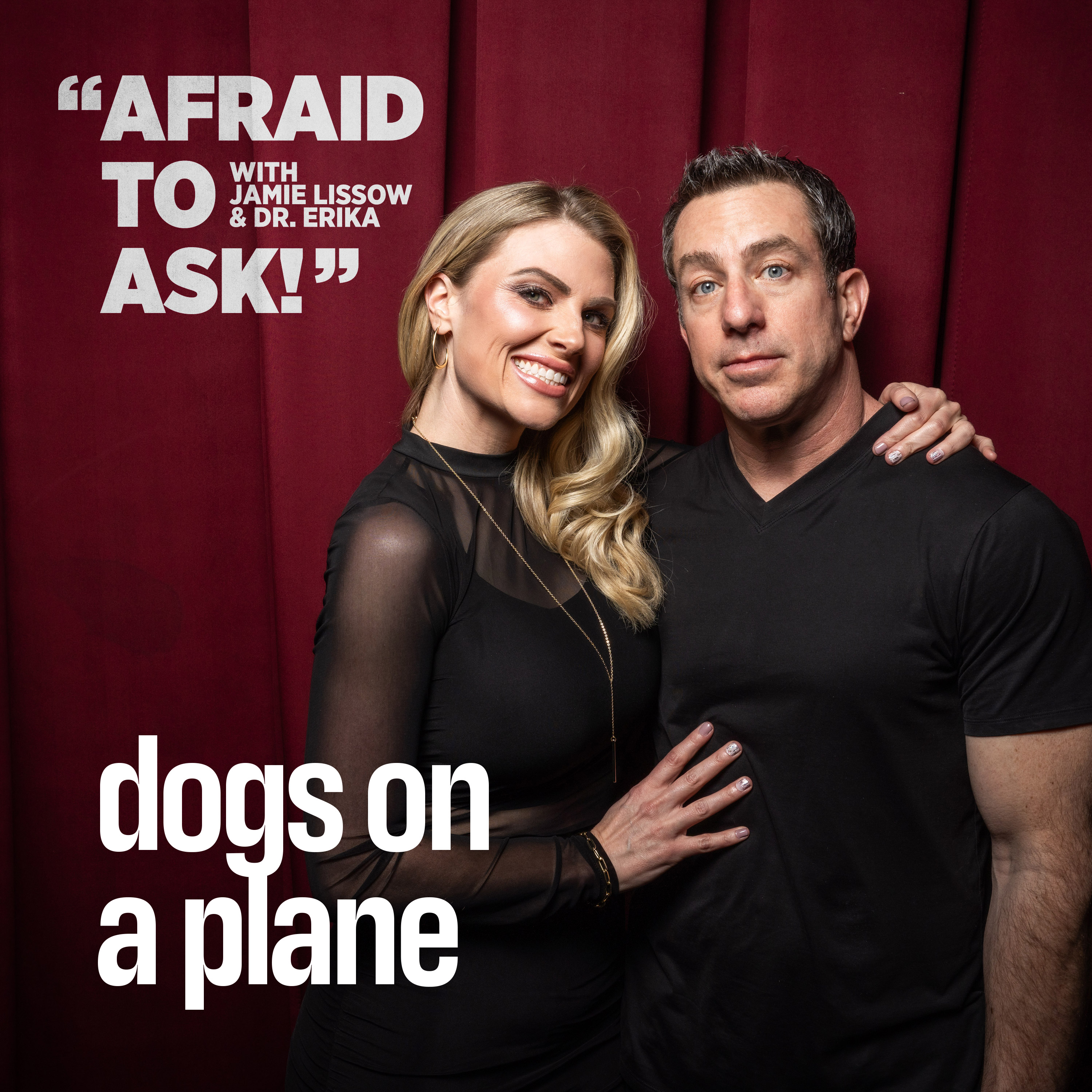 Dogs on a Plane