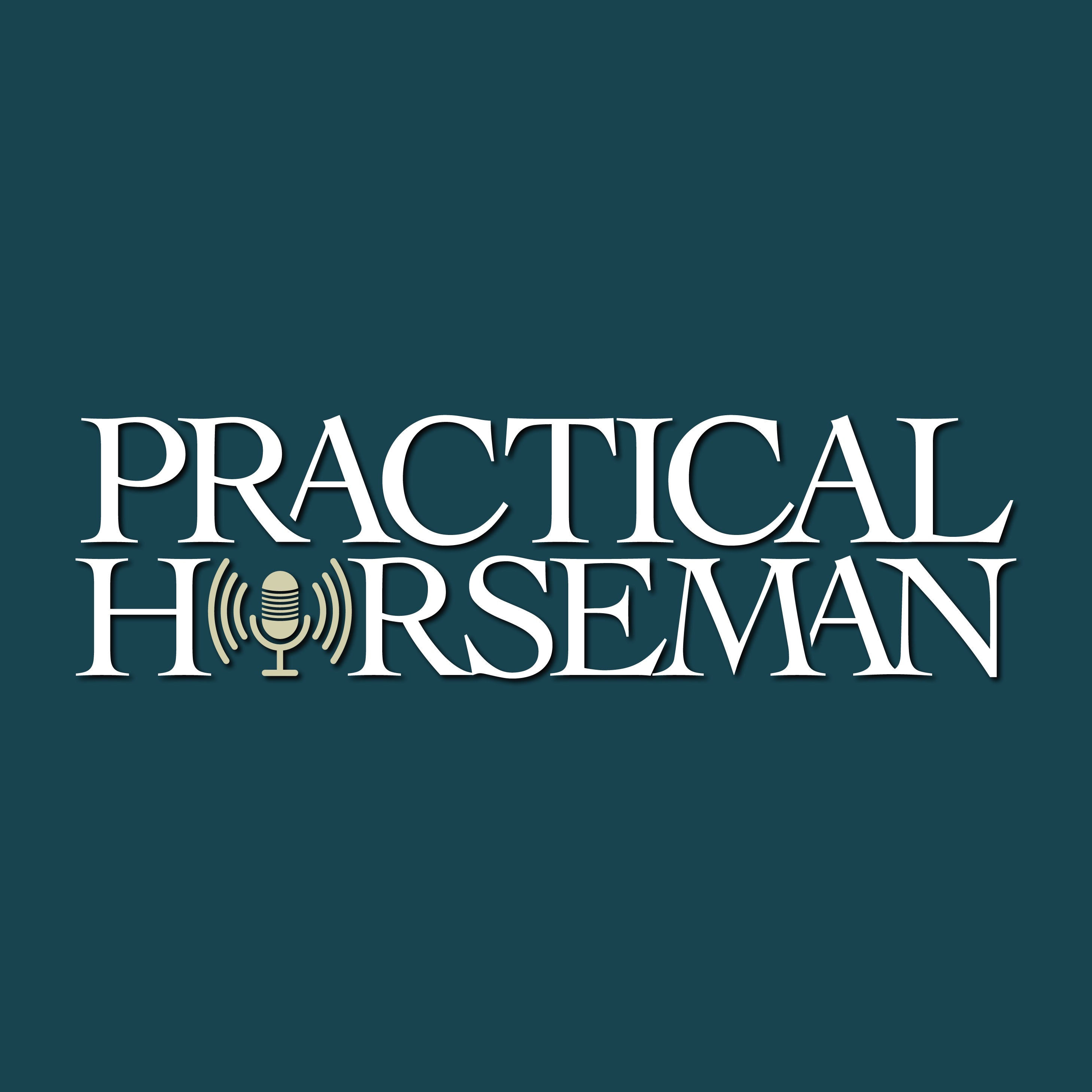 Artwork for podcast Practical Horseman Podcast