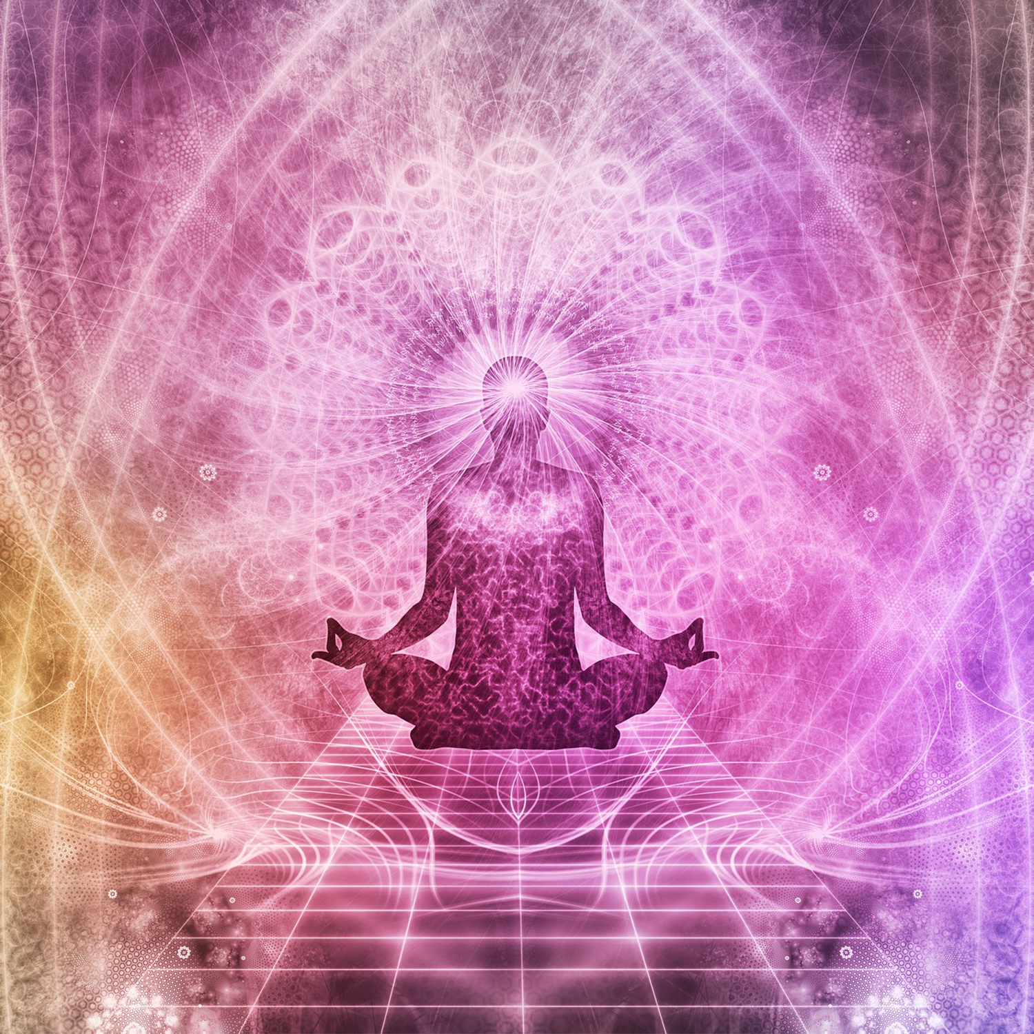 Ep. 14: Exercising the Law of Attraction episode artwork