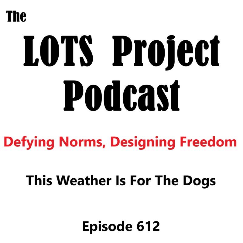 Artwork for podcast The LOTS Project Morning Show