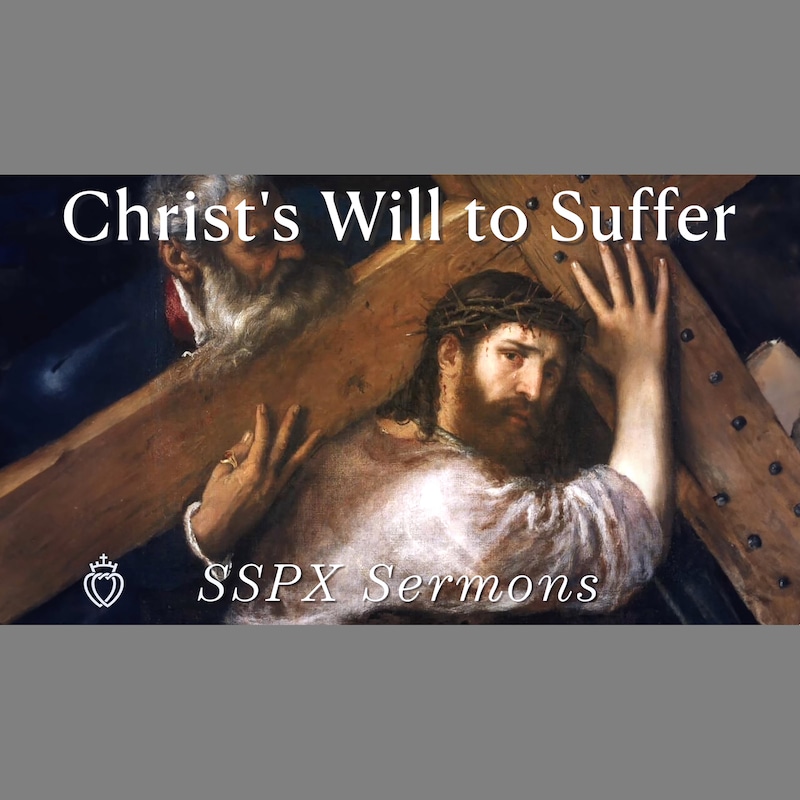 Artwork for podcast SSPX Sermons