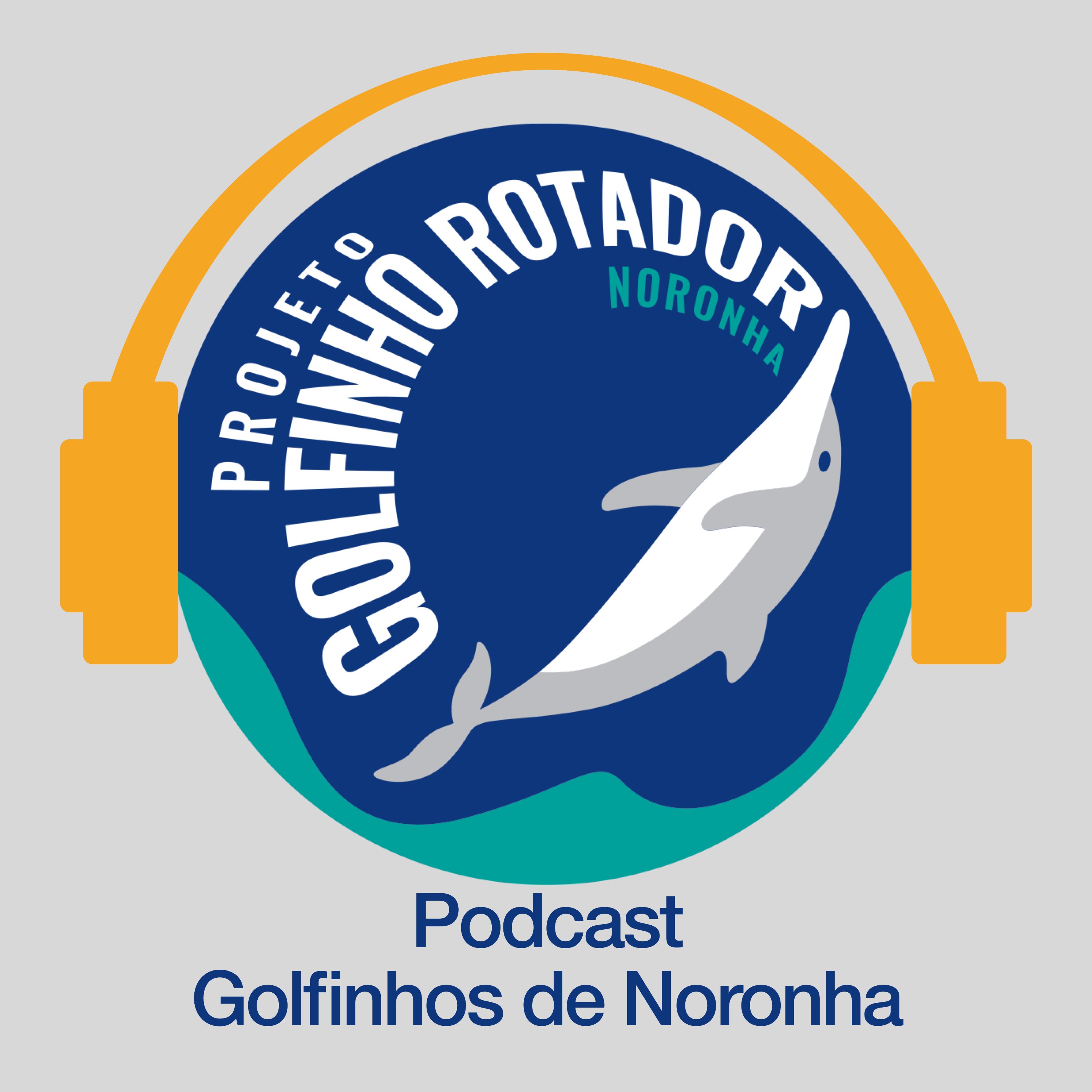 Projeto Golfinho Rotador contado pela nossa equipe! - Podcast Golfinhos de Noronha #18
