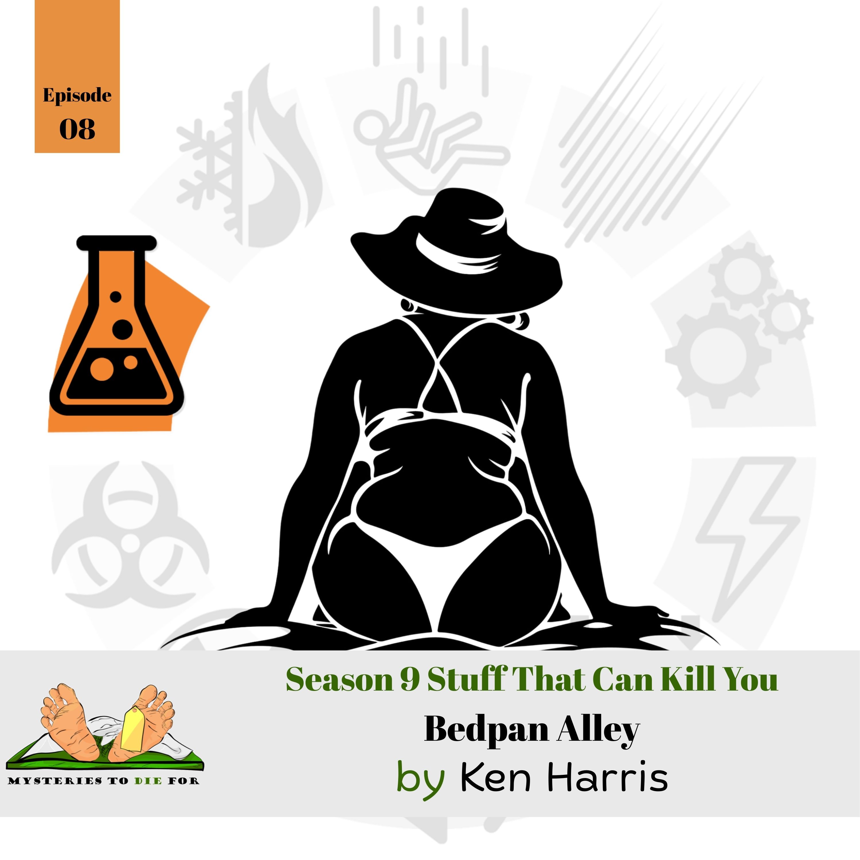 S9E8: Bedpan Alley by Ken Harris episode artwork