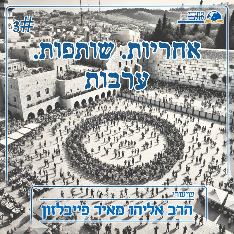 Artwork for podcast שיעורי הרב פייבלזון