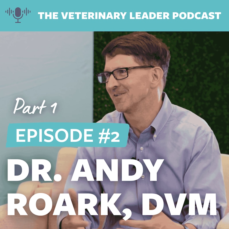 Artwork for podcast The Veterinary Leader Podcast