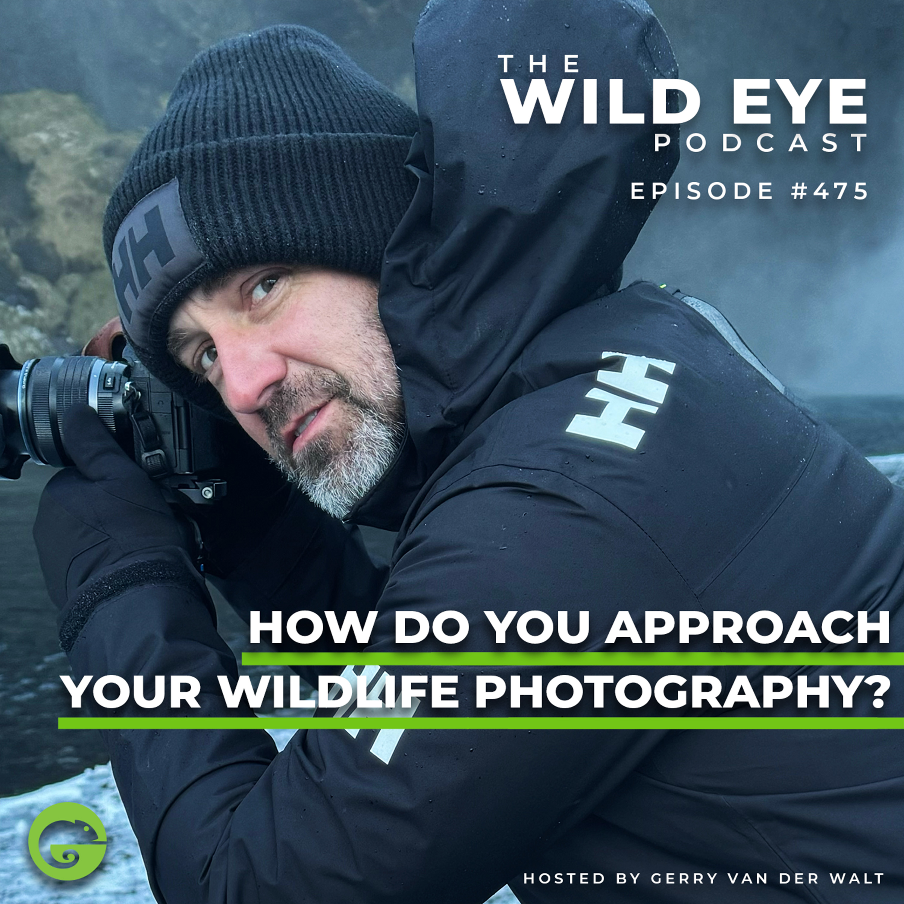 #475 - How do you approach your wildlife photography?