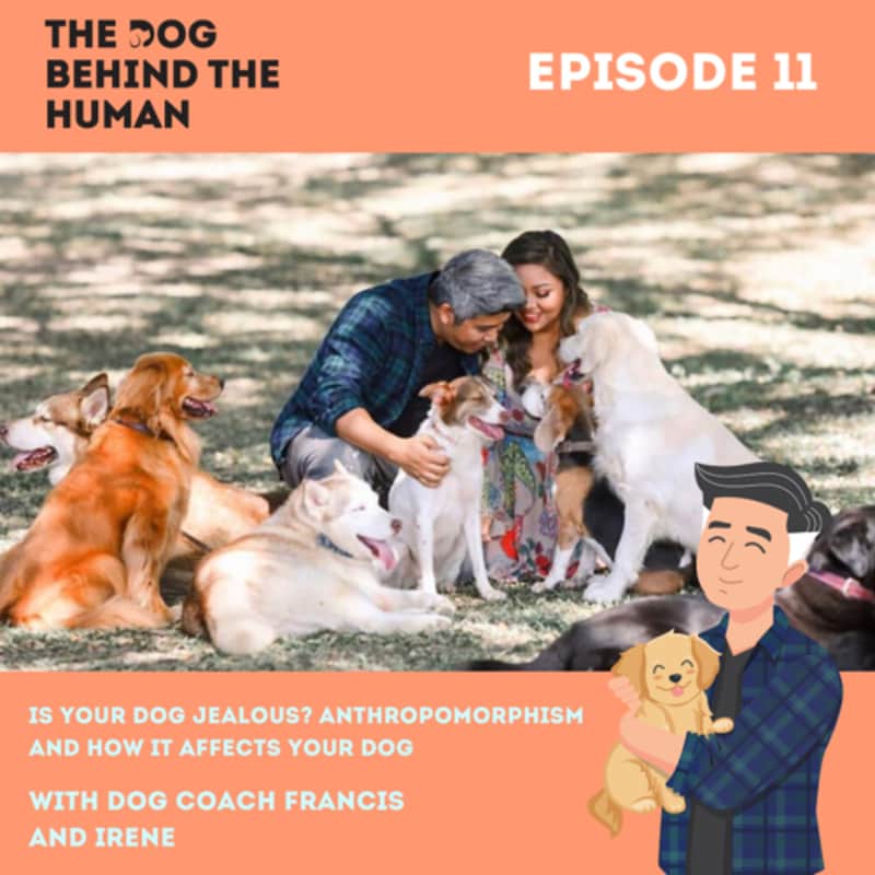 Artwork for podcast The Dog Behind The Human
