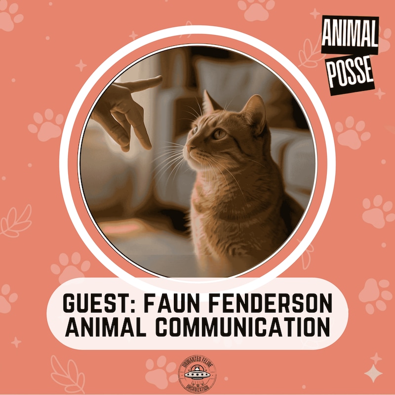 Artwork for podcast Animal Posse