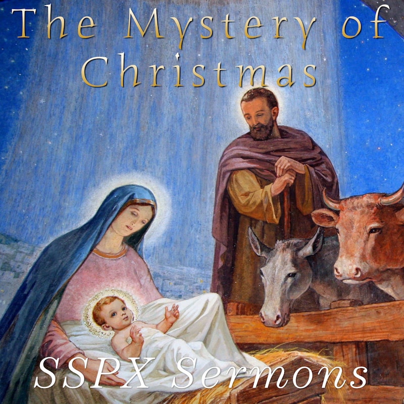 Artwork for podcast SSPX Sermons