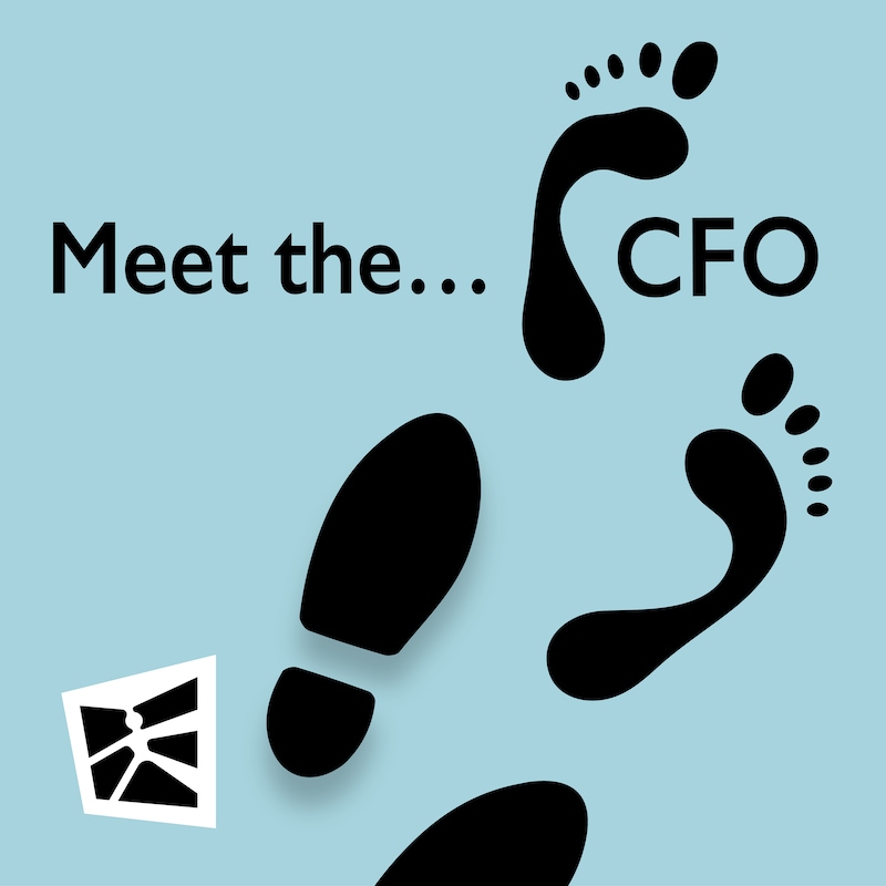 Artwork for podcast Meet the CFO