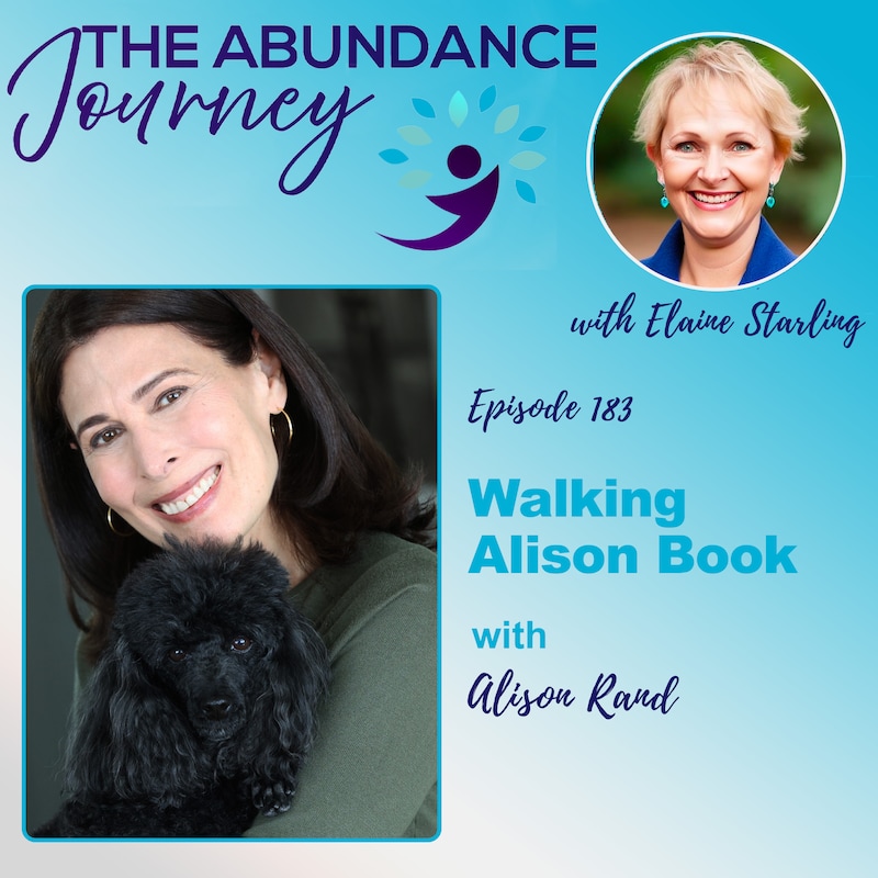 Artwork for podcast The Abundance Journey: Accelerating Revenue With An Abundance Mindset