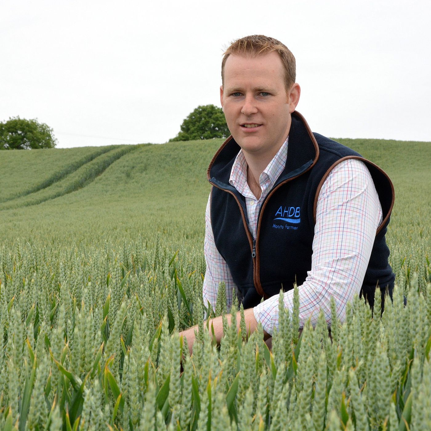 8: Combine Time with Richard Orr: worst yields, best incomes and more