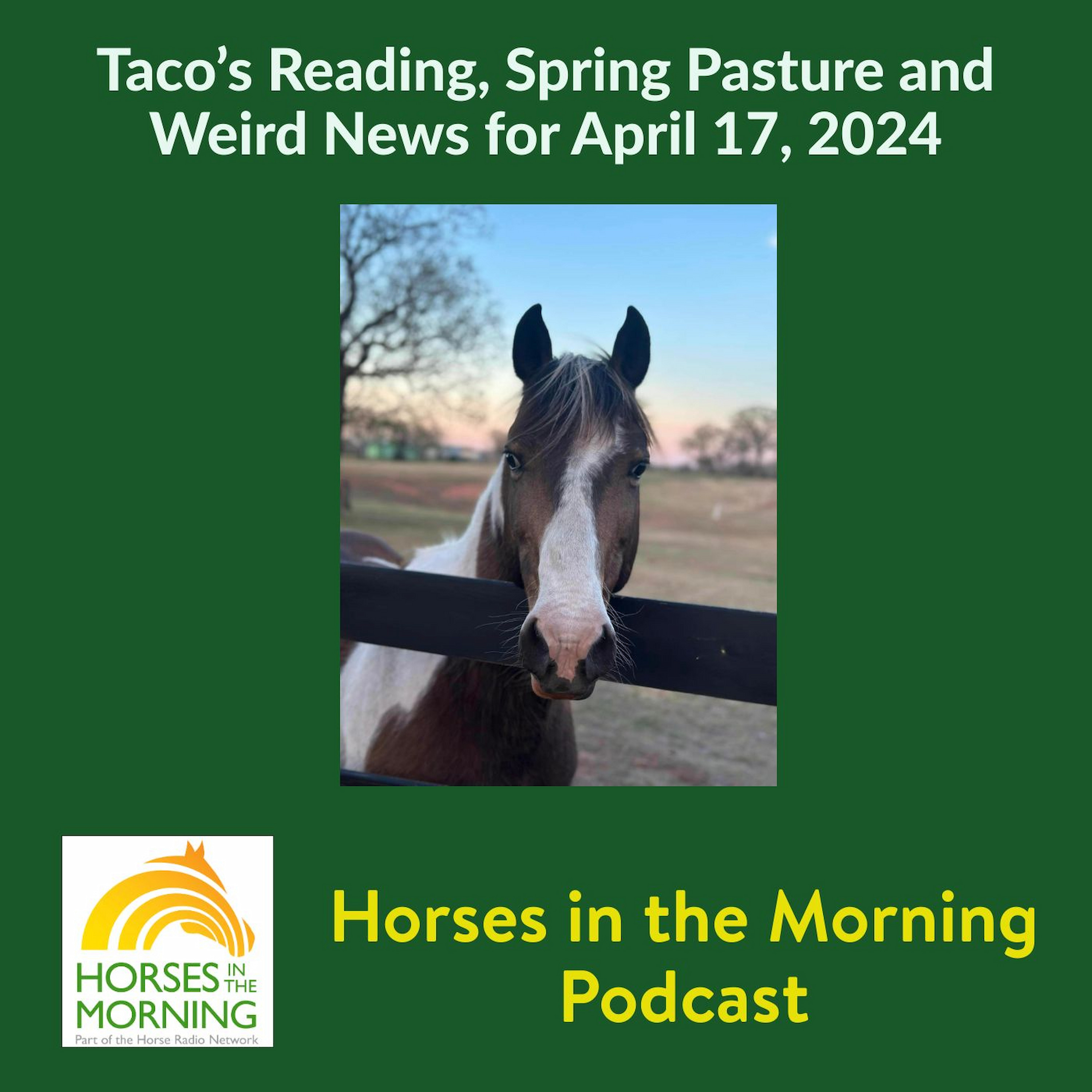 HITM for April 17, 2024: Taco’s Reading, Spring Pasture and Weird News