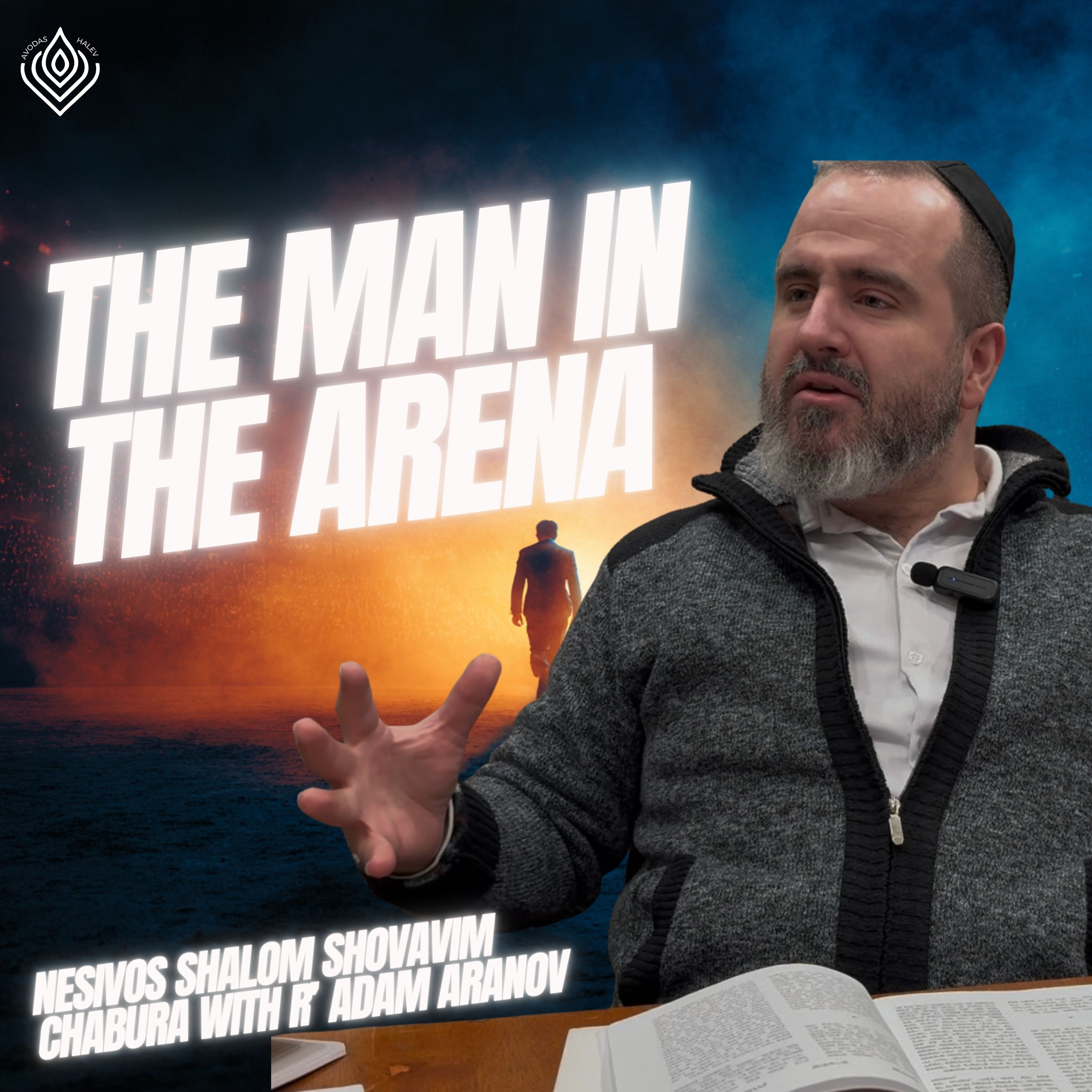 The Man in the Arena