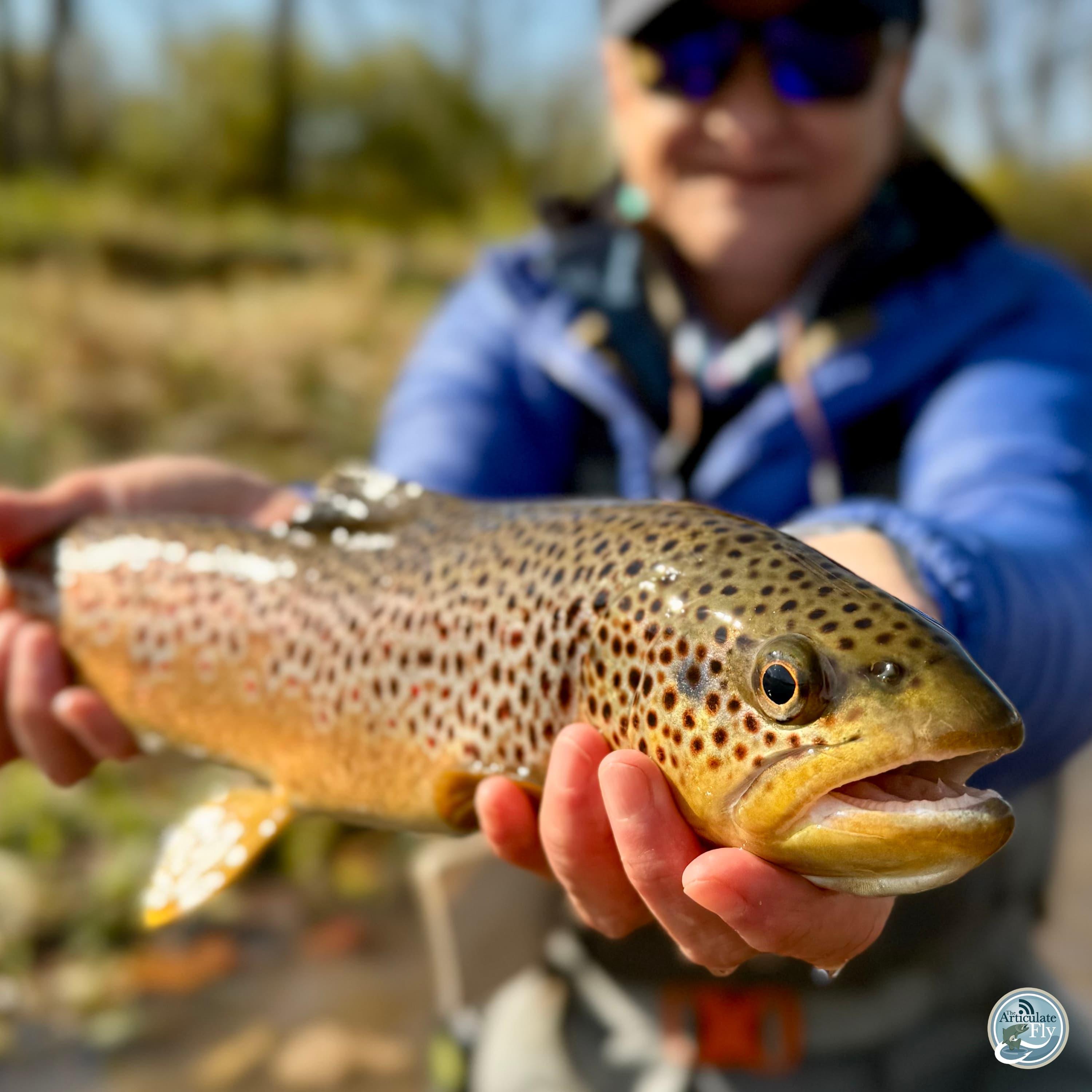 S7, Ep 97: The Winter Transition: George Costa's Tips for Central PA Anglers