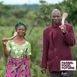Artwork for Alefa Ofesa and Lloyd Phale: Agricultural innovations in the Ukwe community