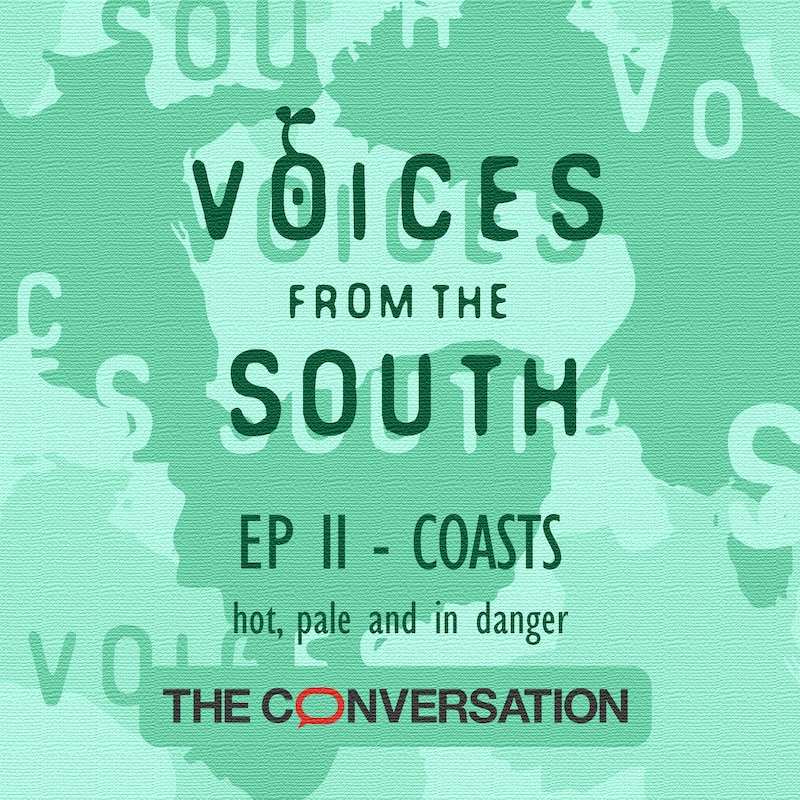 Artwork for podcast Voices from the South