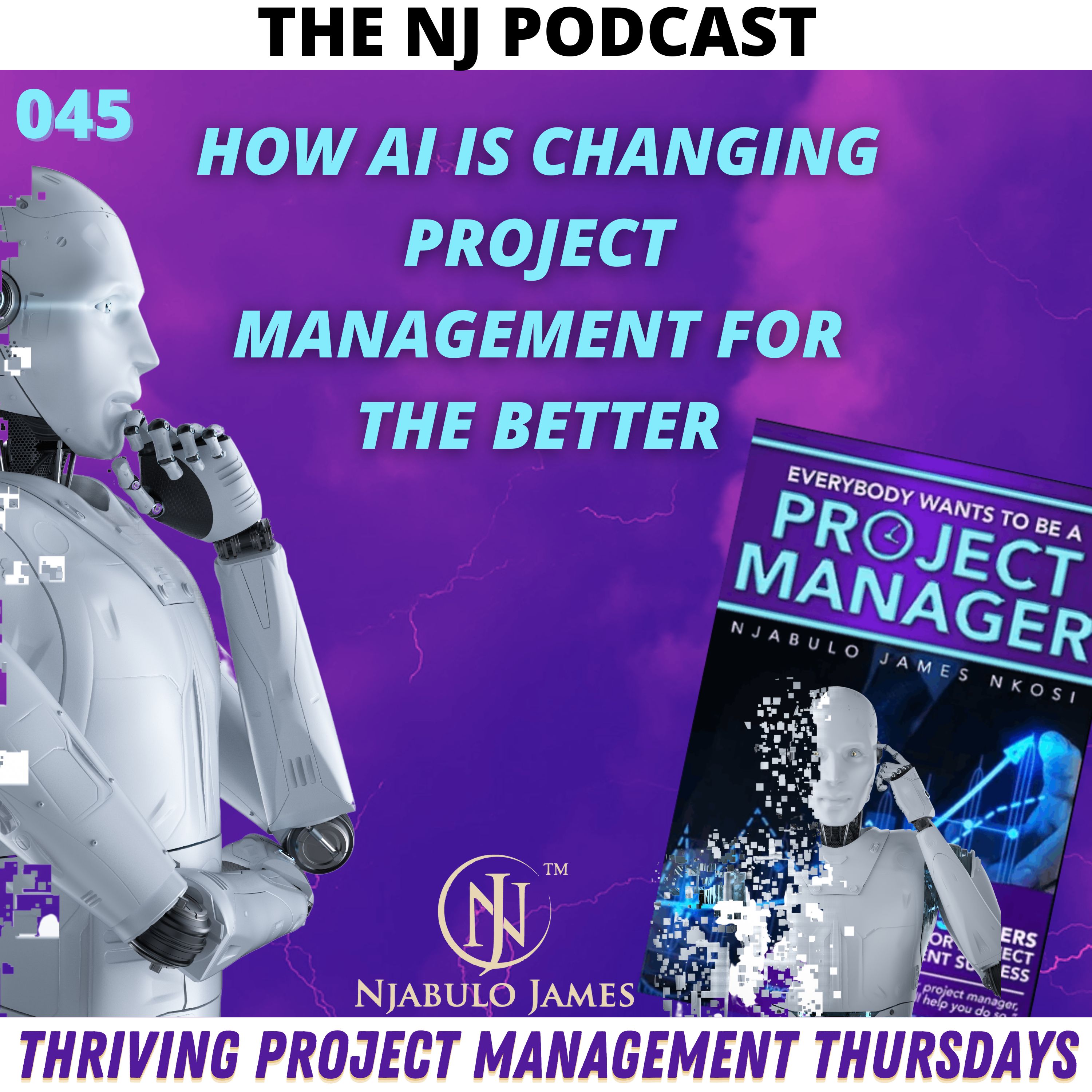 The NJ Podcast