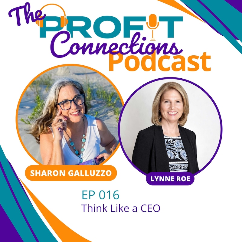 Artwork for podcast The Profit Connections Podcast