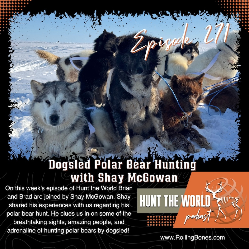 Artwork for podcast Hunt the World