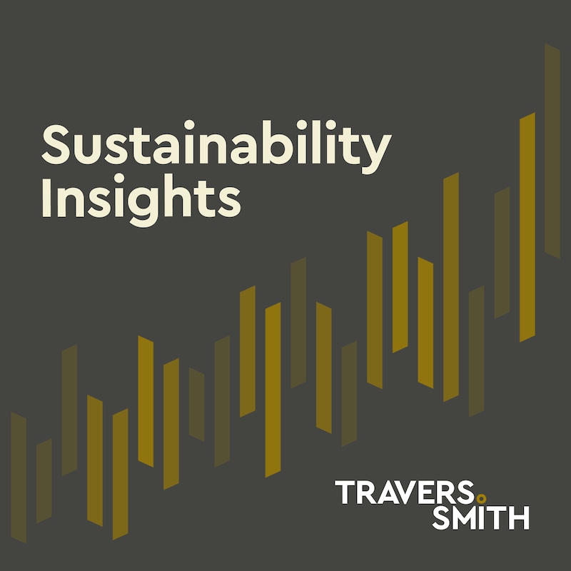 Artwork for podcast Alternative Asset Management & Sustainability Insights