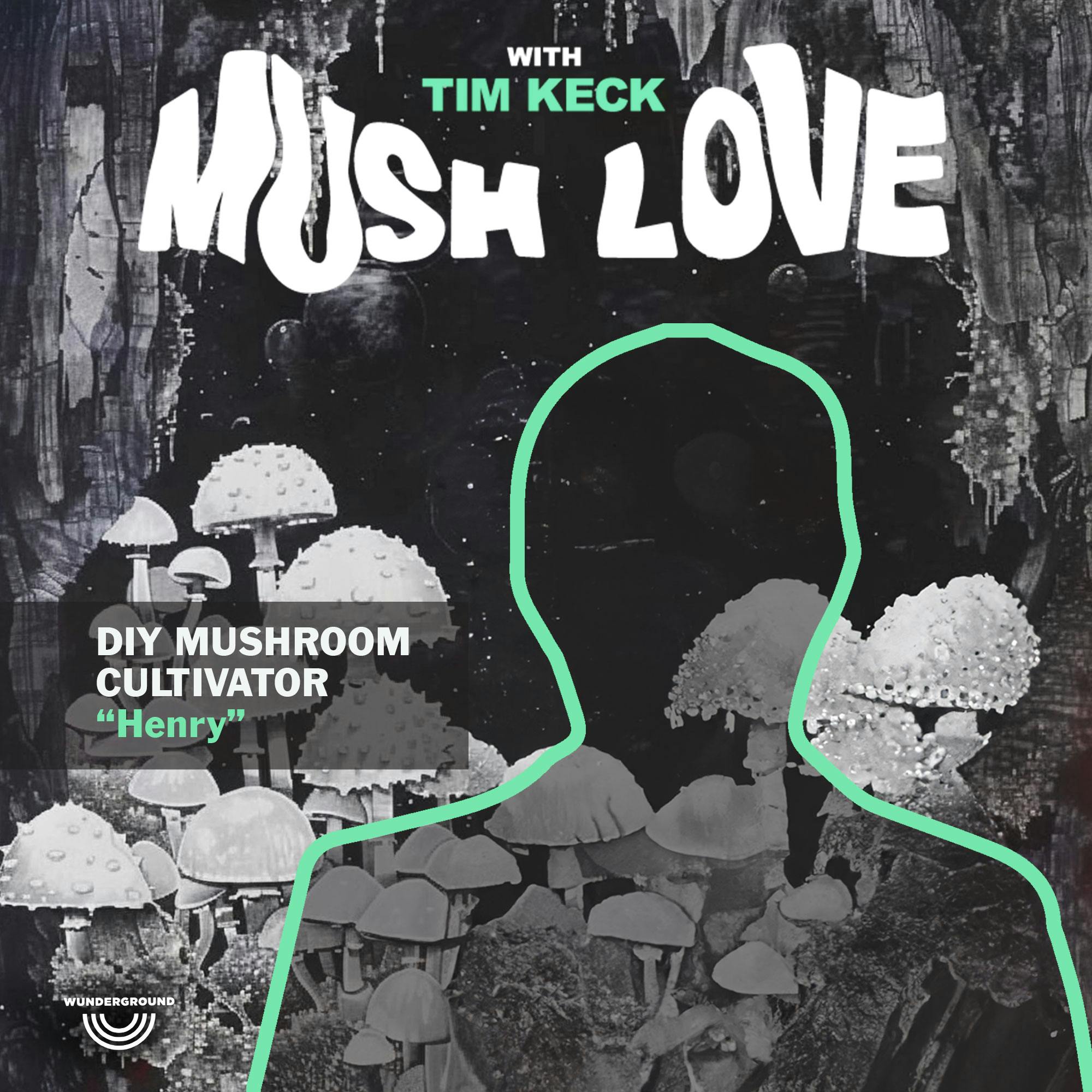 How Mushrooms Transformed Henry's Life