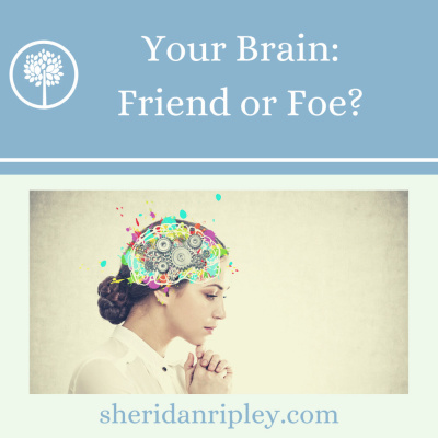 #4 Your Brain: Friend or Foe? episode artwork