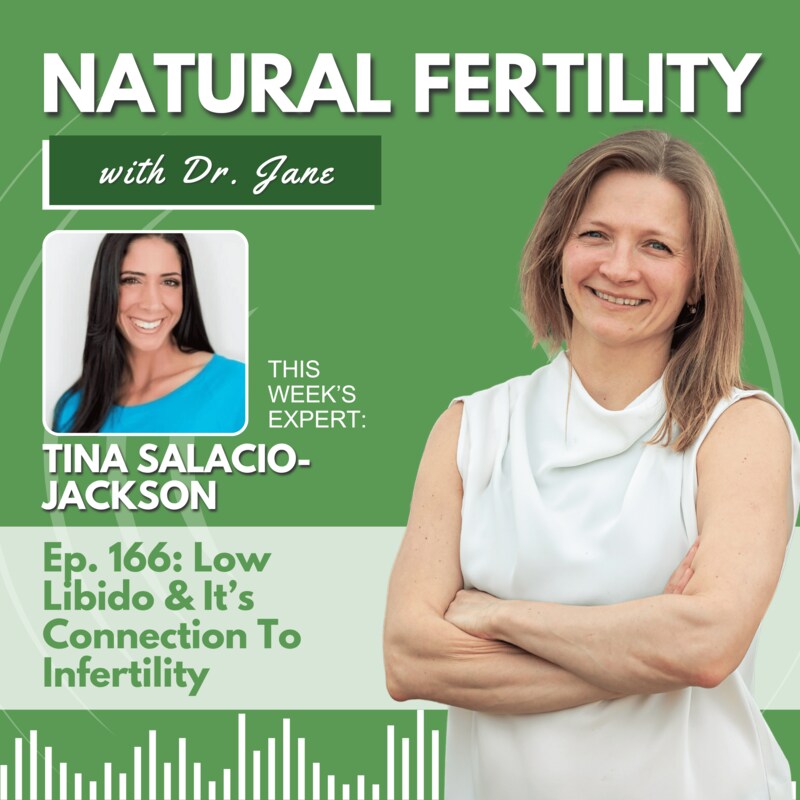 Artwork for podcast Natural Fertility with Dr. Jane