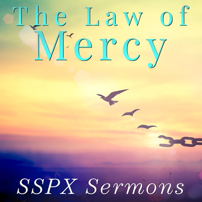 Artwork for podcast SSPX Sermons