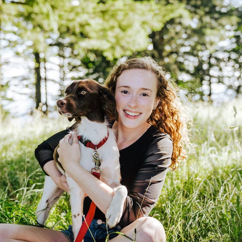 Artwork for podcast Inspiring Innovators Show