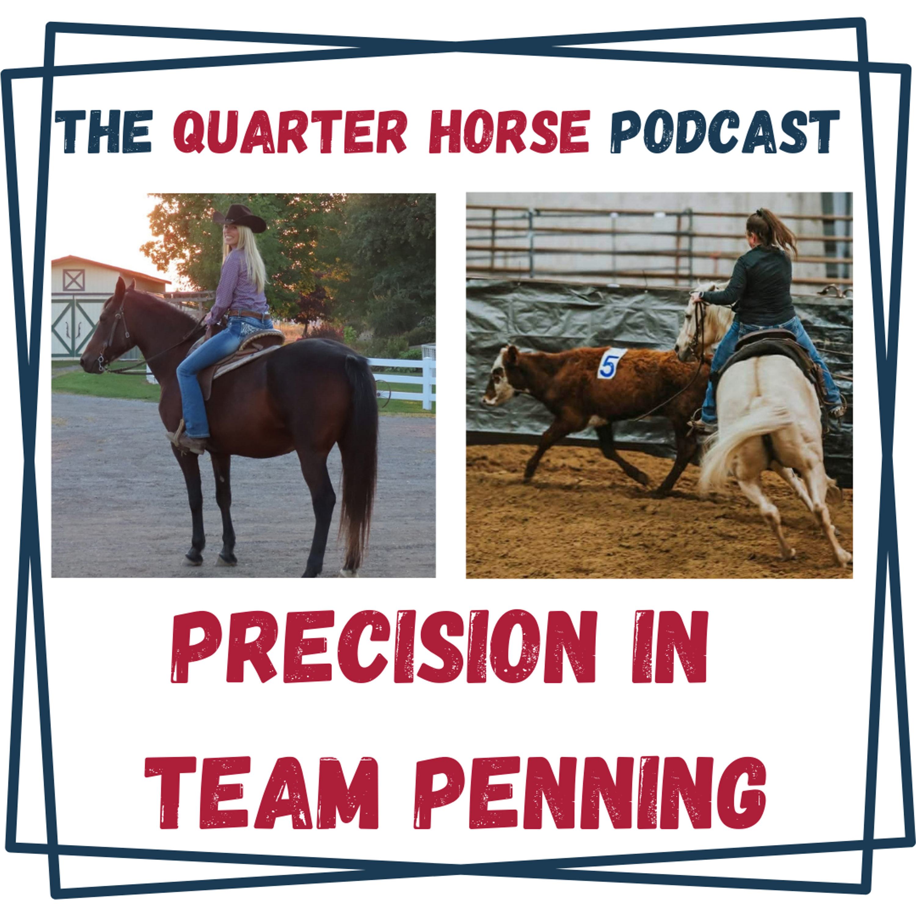 Precision in Team Penning - The Quarter Horse Podcast