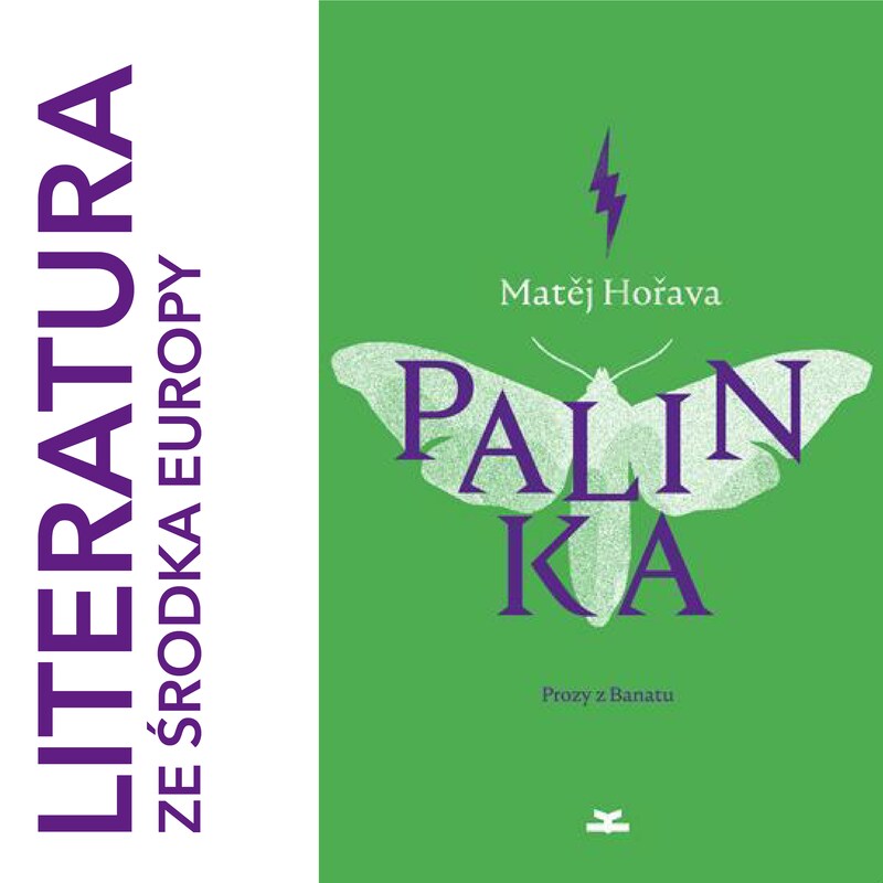 Artwork for podcast Literatura ze środka Europy
