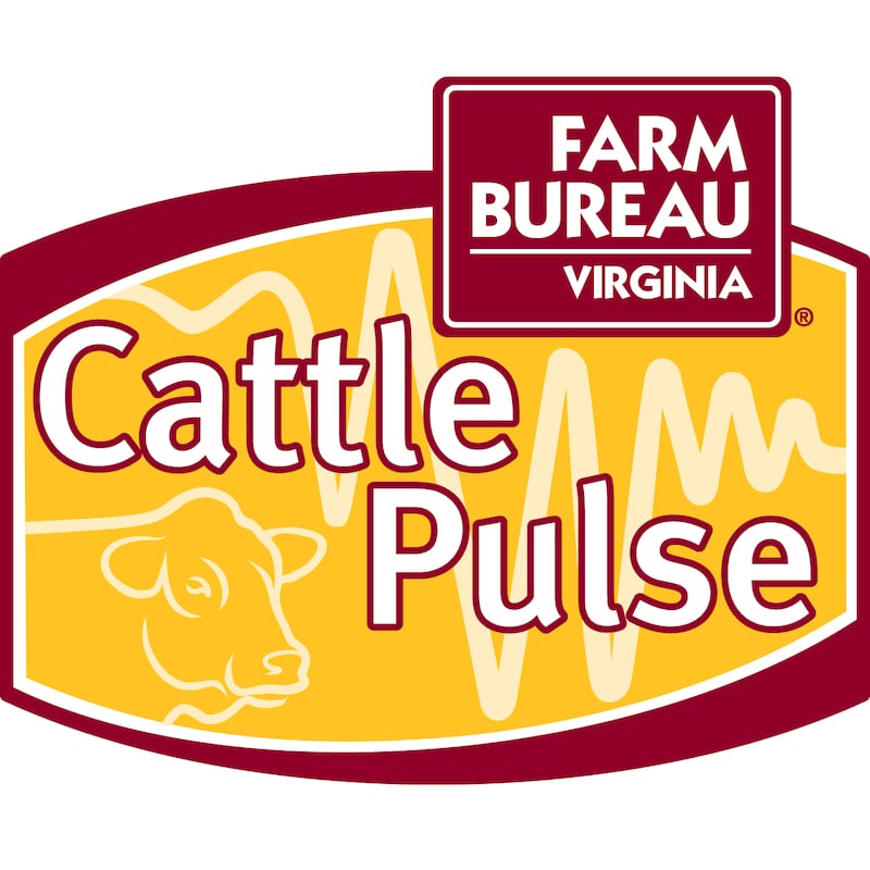 Artwork for podcast CattlePulse