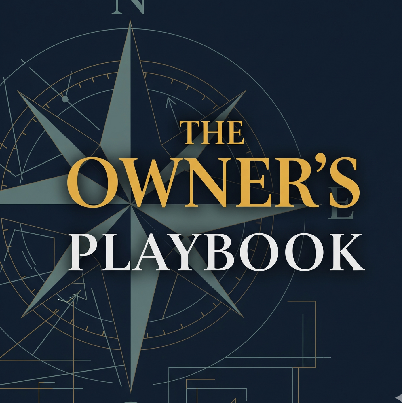 Artwork for The Owner's Playbook