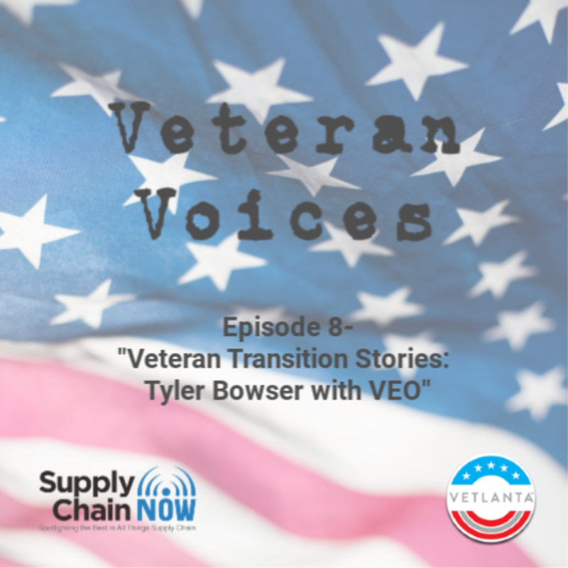 Artwork for podcast Veteran Voices