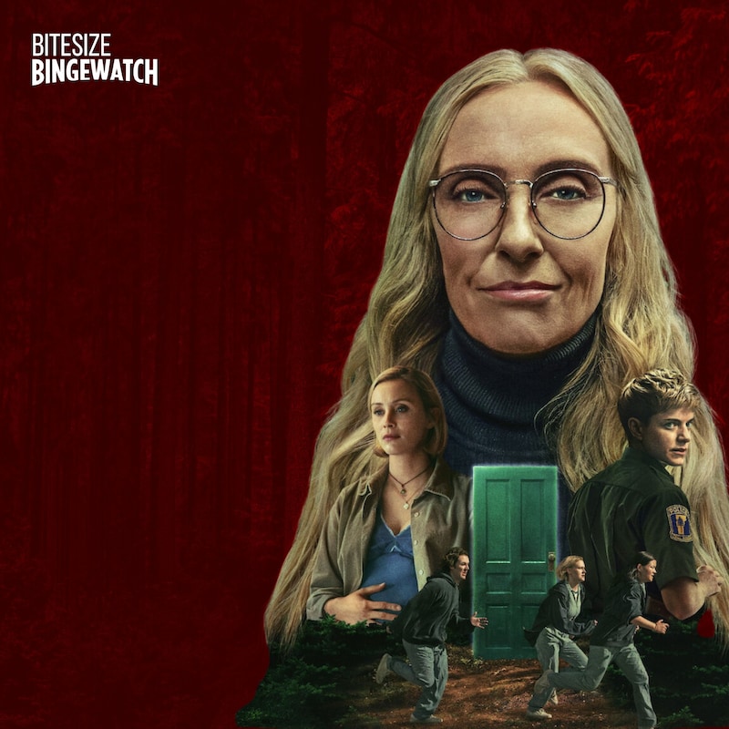 Artwork for podcast Bitesize Bingewatch