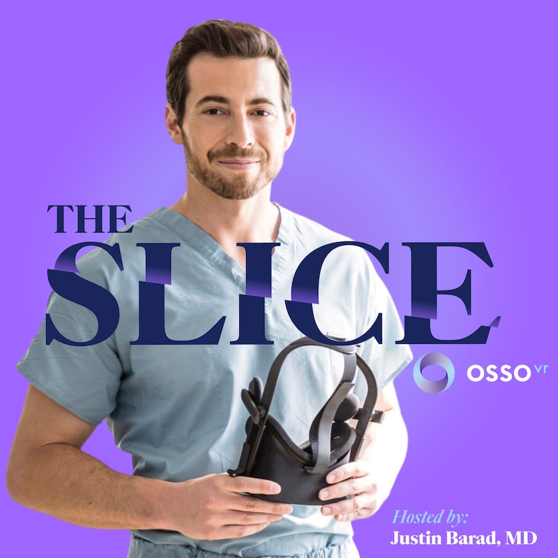 Artwork for podcast The Slice