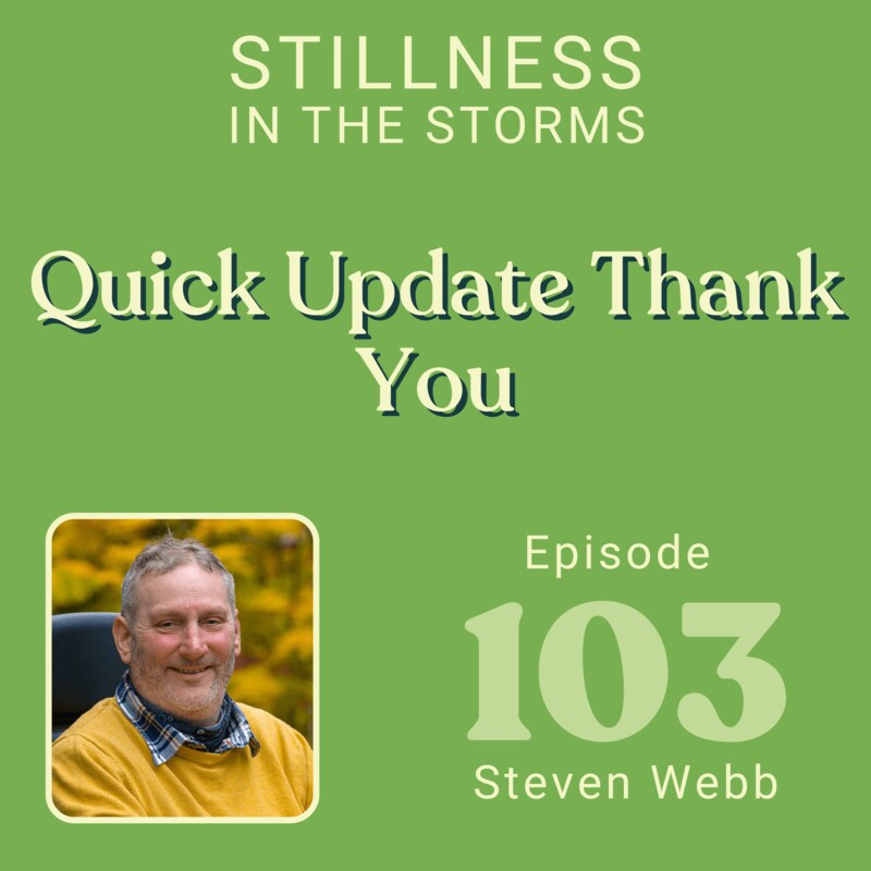 Artwork for podcast Stillness in the Storms