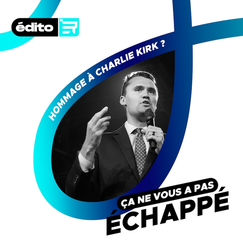 Artwork for podcast Ça ne vous a pas échappé !