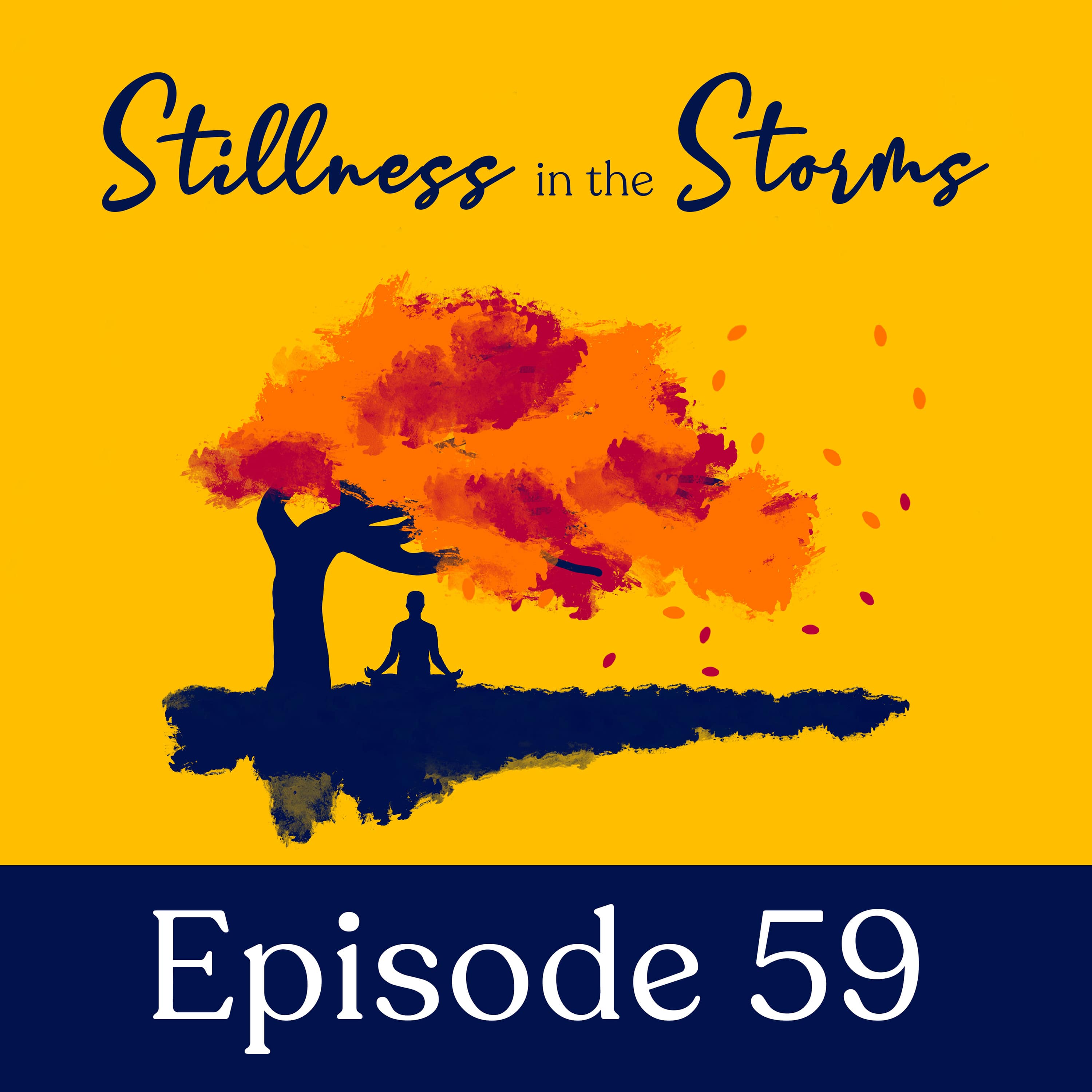 Artwork for podcast Stillness in the Storms