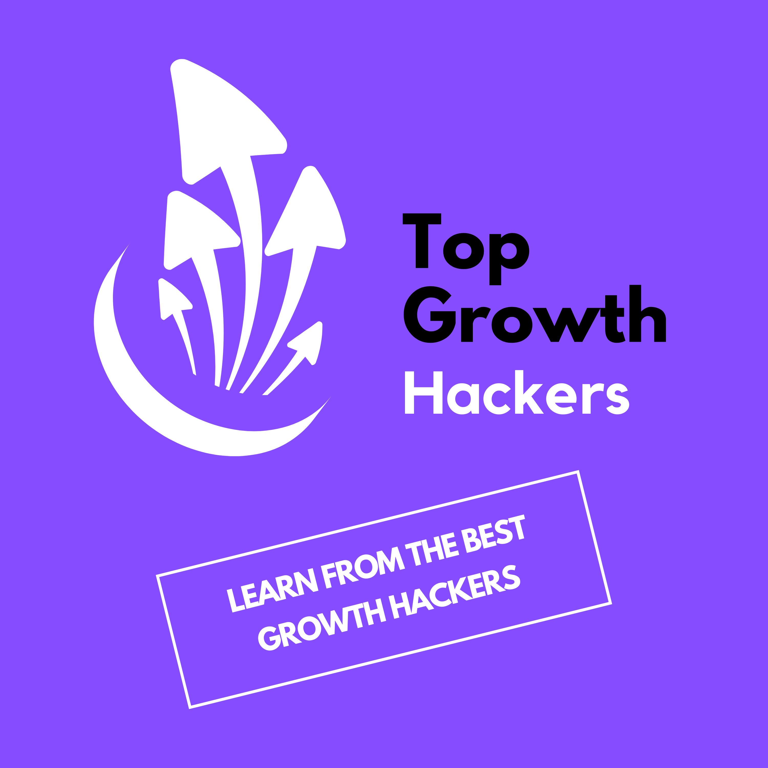 Show artwork for Top Growth Hackers